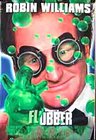 Movie cover for Flubber