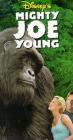 Movie cover for Mighty Joe Young