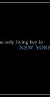 Movie cover for The Only Living Boy in New York