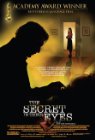 Movie cover for The Secret in Their Eyes