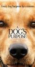 Movie cover for A Dog's Purpose