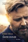 Movie cover for The Water Diviner