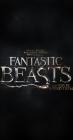 Movie cover for Fantastic Beasts and Where to Find Them