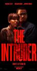 Movie cover for The Intruder