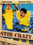 Movie cover for Stir Crazy