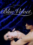 Movie cover for Blue Velvet