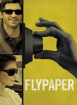 Movie cover for Flypaper