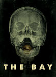 Movie cover for The Bay