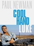 Movie cover for Cool Hand Luke