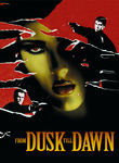 Movie cover for From Dusk Till Dawn