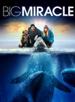 Movie cover for Big Miracle