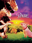 Movie cover for Babe