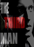 Movie cover for The Third Man