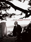 Movie cover for Wild Strawberries