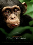 Movie cover for Chimpanzee