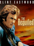 Movie cover for The Beguiled