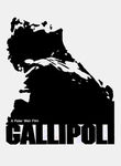 Movie cover for Gallipoli