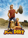 Movie cover for Joe Dirt