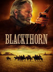 Movie cover for Blackthorn